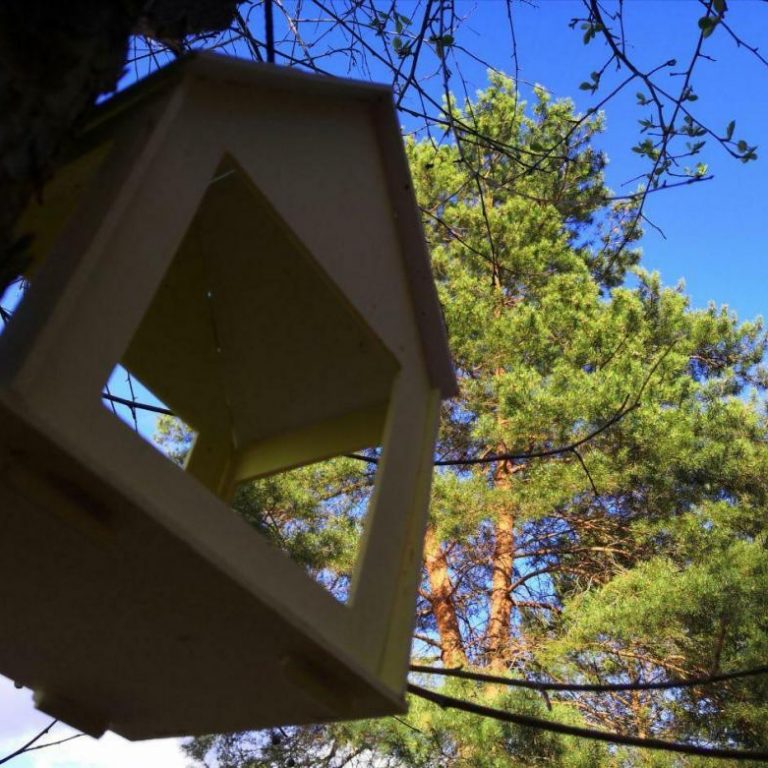 tn_284692_2cdab7845c22d4d