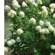 MR0BBcW_uXk